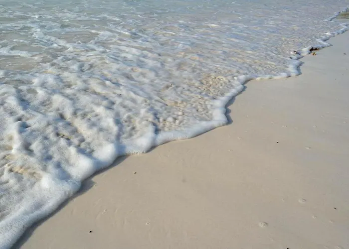 Hotel Agua Eco Design Tulum